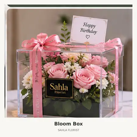 Bloom Box Ilir Timur I
